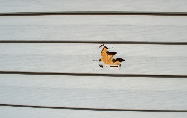 Cost of Siding Hole Patching in Warwick