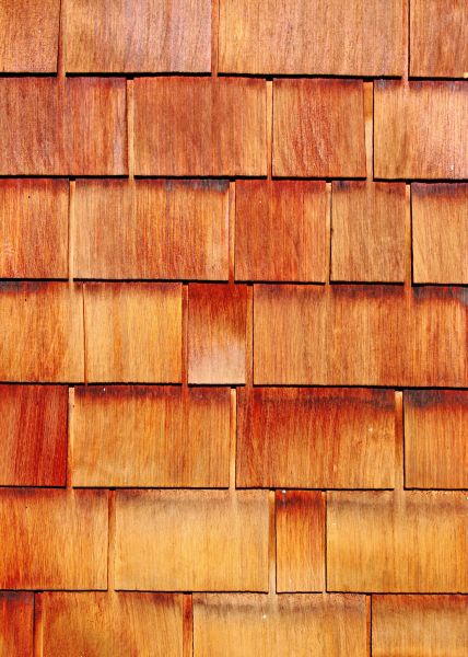 Cost of Wood Siding Replacement in Warwick