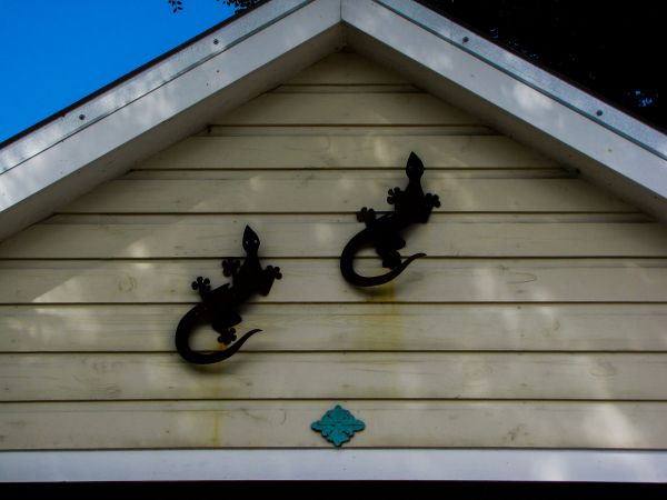 Cost of Shiplap Siding Installation in Warwick
